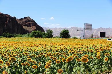 真人快打制作人建议推出《SEGA VS CAPCOM》